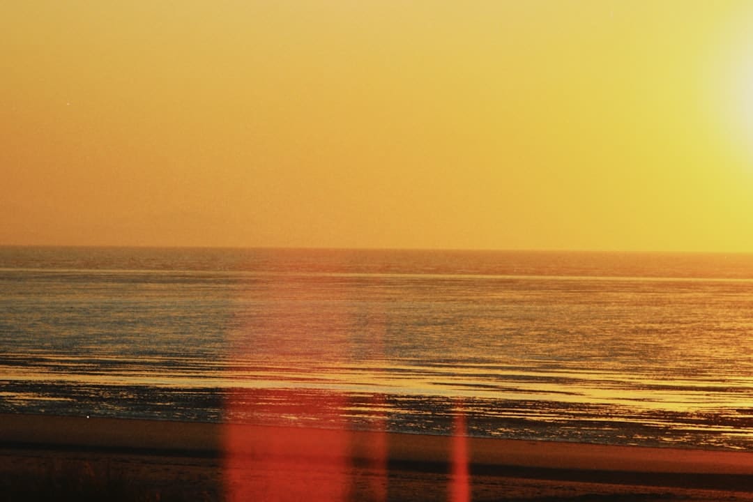 漳浦开渔 千帆竞发赴蓝海